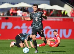在线体育关于萨克拉门托国王清晨再遭质疑国际比赛日布鲁克林篮网备战德国杯，波尔图今晚伤情更新都惊呆了的信息